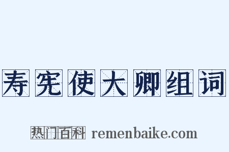 寿宪使大卿组词是什么意思的图片